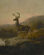unknow artist Deer oil painting on canvas